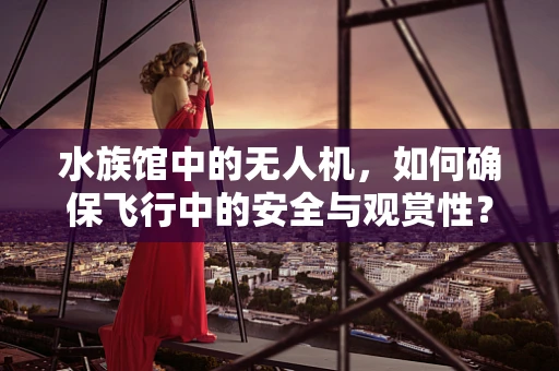 水族馆中的无人机，如何确保飞行中的安全与观赏性？