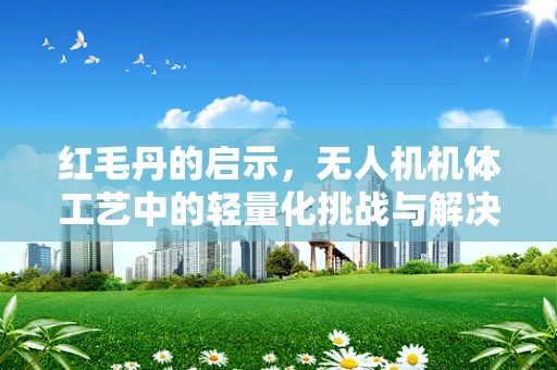红毛丹的启示，无人机机体工艺中的轻量化挑战与解决方案？