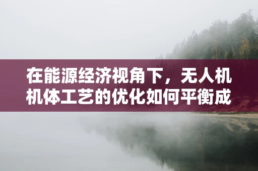 在能源经济视角下，无人机机体工艺的优化如何平衡成本与效率？