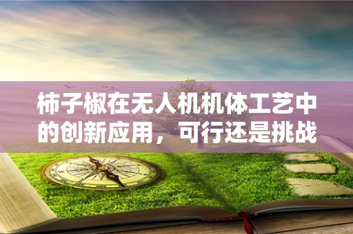 柿子椒在无人机机体工艺中的创新应用，可行还是挑战？