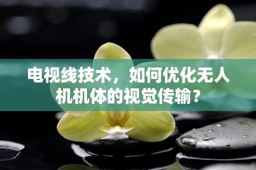电视线技术，如何优化无人机机体的视觉传输？