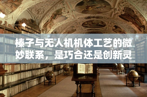 榛子与无人机机体工艺的微妙联系，是巧合还是创新灵感？