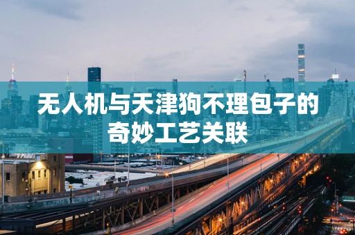 无人机与天津狗不理包子的奇妙工艺关联