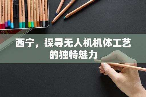 西宁，探寻无人机机体工艺的独特魅力