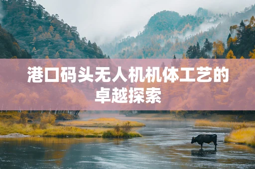港口码头无人机机体工艺的卓越探索