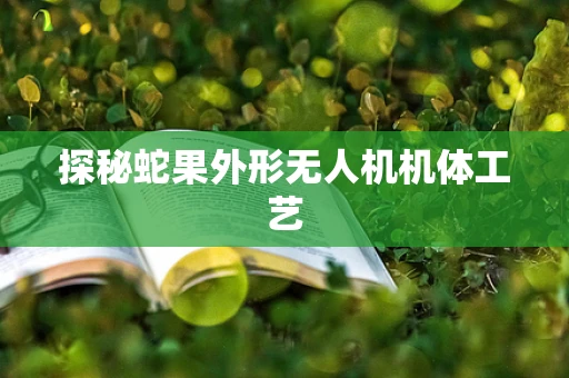 探秘蛇果外形无人机机体工艺