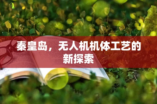 秦皇岛，无人机机体工艺的新探索