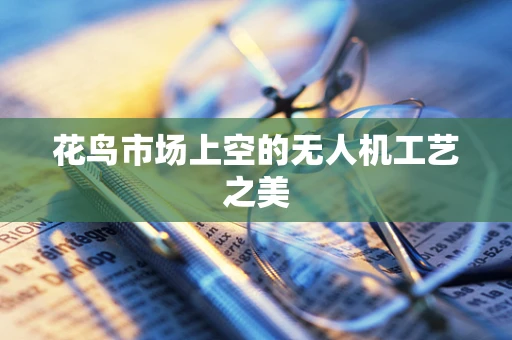 花鸟市场上空的无人机工艺之美