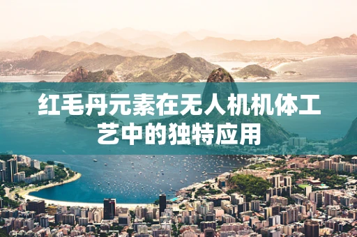 红毛丹元素在无人机机体工艺中的独特应用