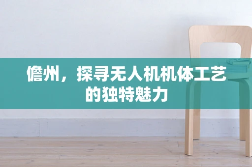 儋州，探寻无人机机体工艺的独特魅力