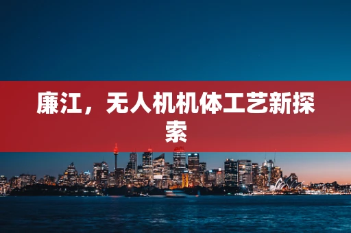 廉江，无人机机体工艺新探索