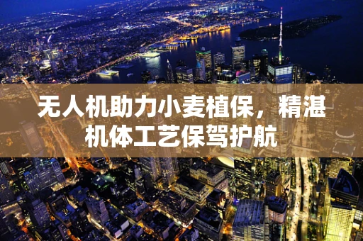 无人机助力小麦植保，精湛机体工艺保驾护航