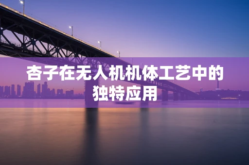 杏子在无人机机体工艺中的独特应用