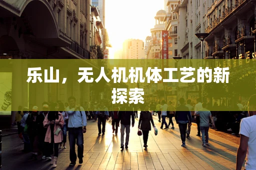 乐山，无人机机体工艺的新探索