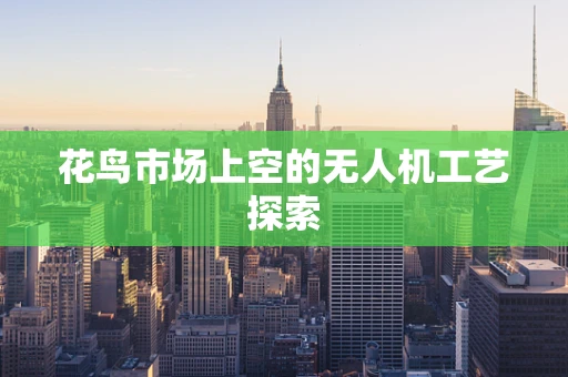 花鸟市场上空的无人机工艺探索