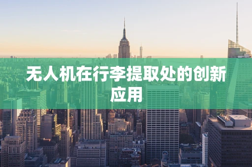 无人机在行李提取处的创新应用