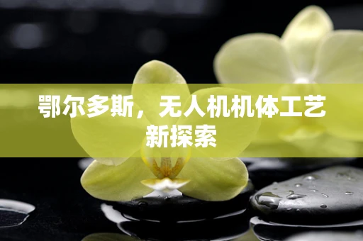鄂尔多斯，无人机机体工艺新探索