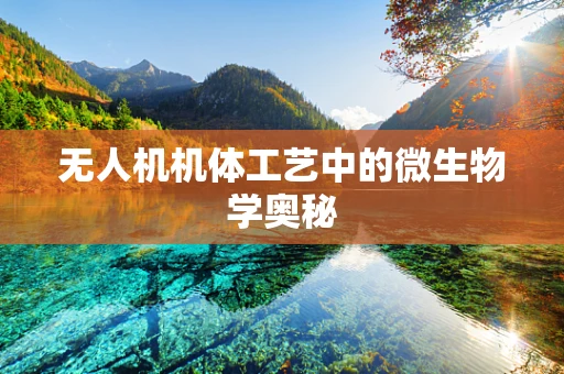 无人机机体工艺中的微生物学奥秘