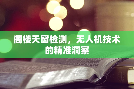 阁楼天窗检测，无人机技术的精准洞察