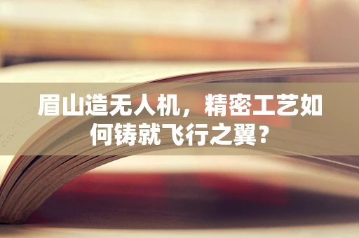 眉山造无人机，精密工艺如何铸就飞行之翼？