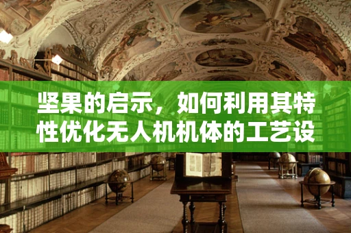 坚果的启示，如何利用其特性优化无人机机体的工艺设计？