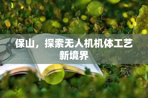 保山，探索无人机机体工艺新境界