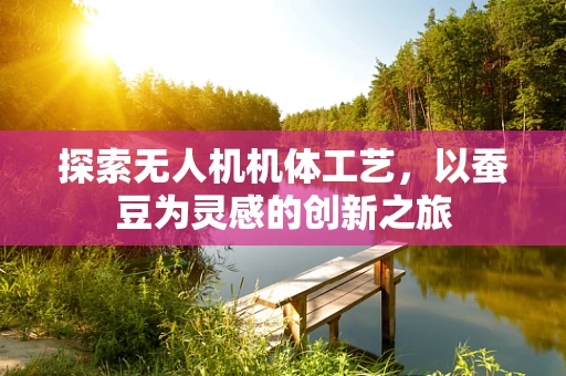 探索无人机机体工艺，以蚕豆为灵感的创新之旅