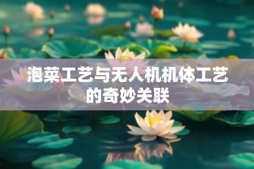 泡菜工艺与无人机机体工艺的奇妙关联