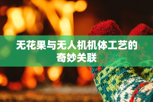 无花果与无人机机体工艺的奇妙关联