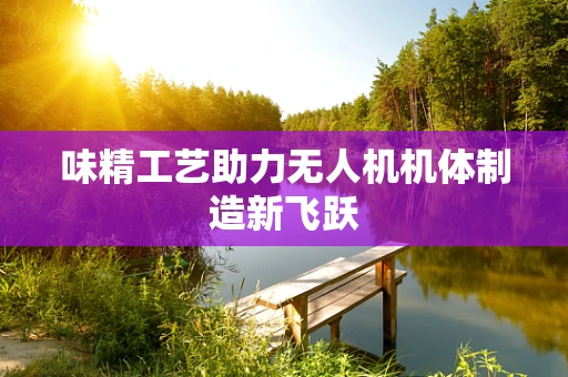 味精工艺助力无人机机体制造新飞跃