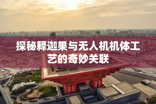 探秘释迦果与无人机机体工艺的奇妙关联
