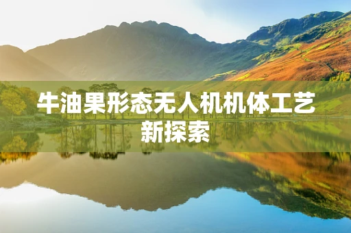 牛油果形态无人机机体工艺新探索