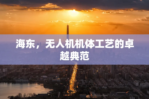 海东，无人机机体工艺的卓越典范