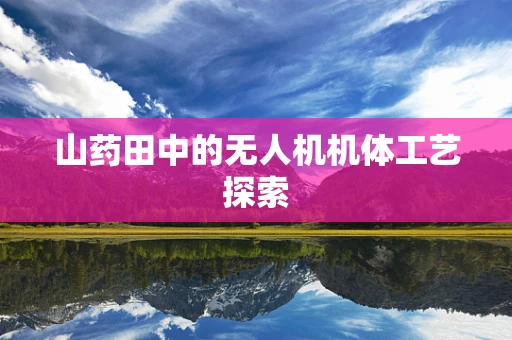 山药田中的无人机机体工艺探索