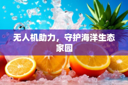 无人机助力，守护海洋生态家园