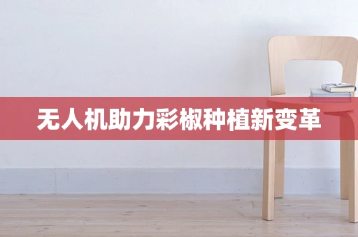 无人机助力彩椒种植新变革
