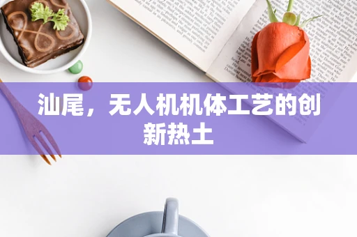 汕尾，无人机机体工艺的创新热土