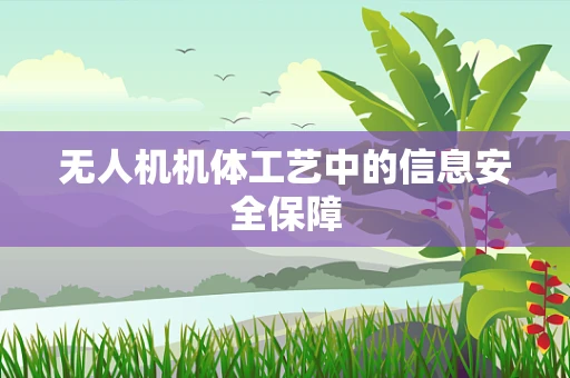 无人机机体工艺中的信息安全保障