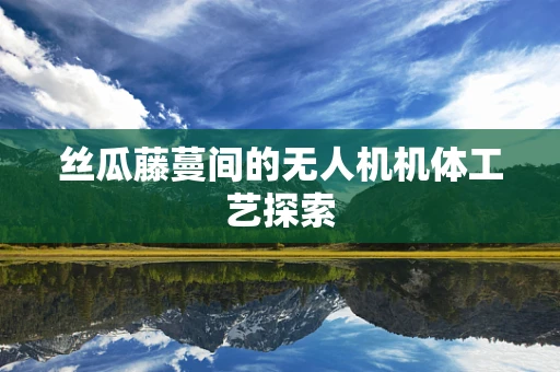 丝瓜藤蔓间的无人机机体工艺探索