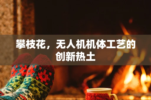 攀枝花，无人机机体工艺的创新热土