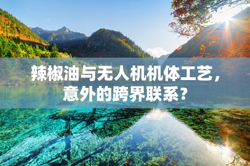 辣椒油与无人机机体工艺，意外的跨界联系？