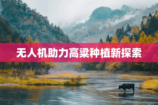 无人机助力高粱种植新探索