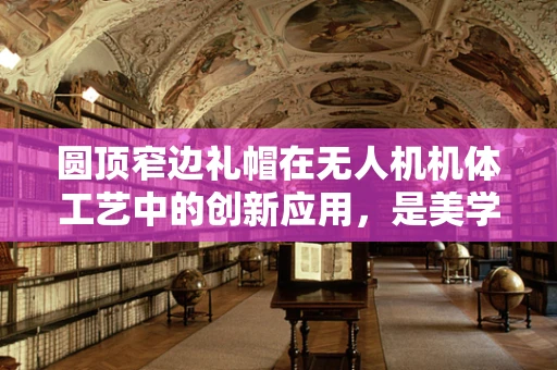 圆顶窄边礼帽在无人机机体工艺中的创新应用，是美学还是功能？