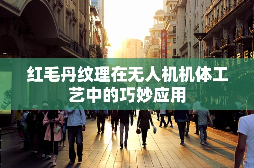 红毛丹纹理在无人机机体工艺中的巧妙应用