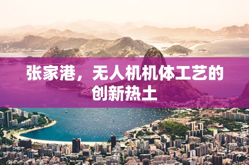 张家港，无人机机体工艺的创新热土