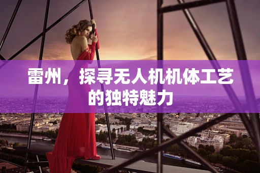 雷州，探寻无人机机体工艺的独特魅力