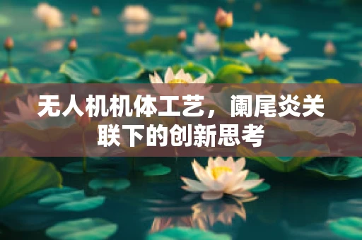 无人机机体工艺，阑尾炎关联下的创新思考