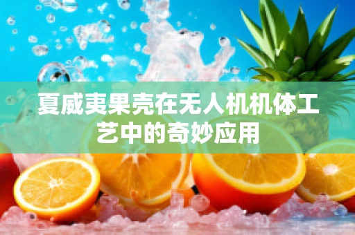 夏威夷果壳在无人机机体工艺中的奇妙应用