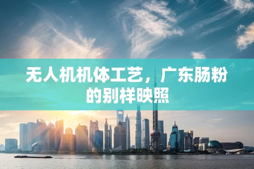 无人机机体工艺，广东肠粉的别样映照
