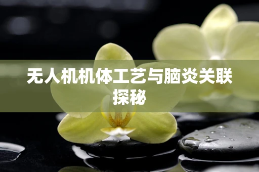 无人机机体工艺与脑炎关联探秘